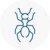 Ant Removals In Sutton In Ashfield
