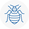 Bed Bug Extermination In Sutton In Ashfield