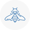 Bee Nest Removal Sutton In Ashfield