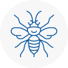 Sutton In Ashfield Hornet Nest Removals