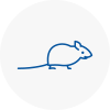 Mice Exterminators In Sutton In Ashfield