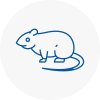 Rat Control Sutton In Ashfield