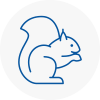 Sutton In Ashfield Rodent Removals