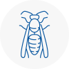 Sutton In Ashfield Wasp Nest Removal